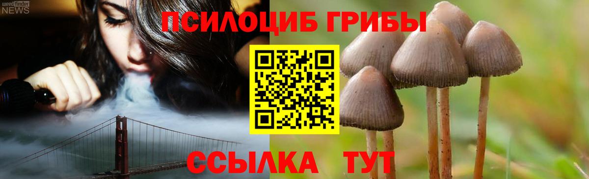 Ленинск-Кузнецкий  Галлюциногенные грибы мухоморы  Галлюциногенные грибы Cubensis  Вход с VPN 